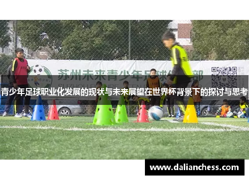 青少年足球职业化发展的现状与未来展望在世界杯背景下的探讨与思考