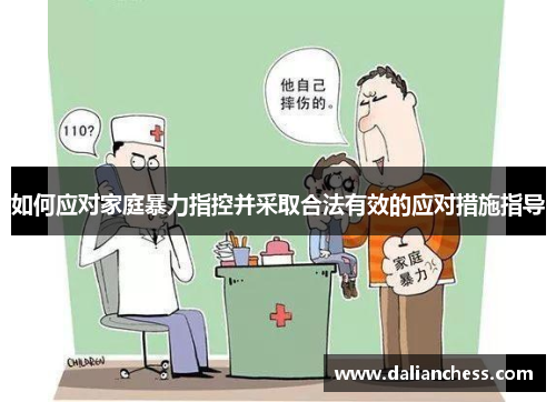 如何应对家庭暴力指控并采取合法有效的应对措施指导